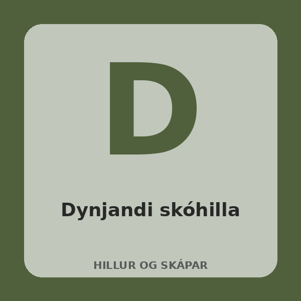 Dynjandi skóhilla